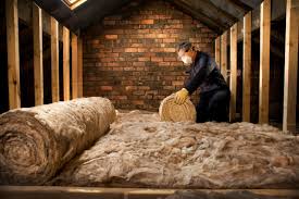 Best Eco-Friendly or Green Insulation Solutions  in Skyline Acres, OH